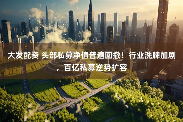 大发配资 头部私募净值普遍回撤！行业洗牌加剧，百亿私募逆势扩容