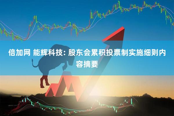 倍加网 能辉科技: 股东会累积投票制实施细则内容摘要