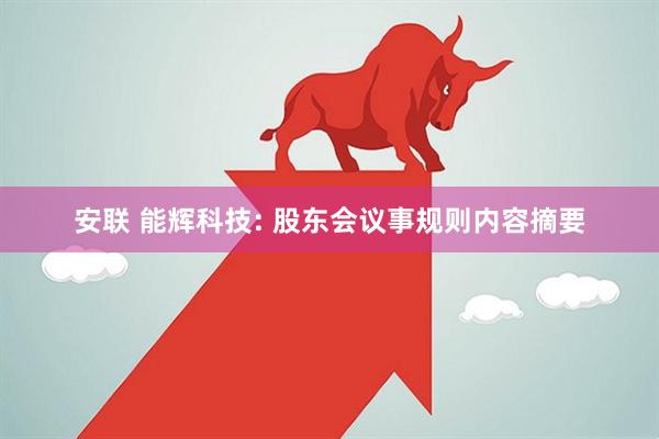安联 能辉科技: 股东会议事规则内容摘要